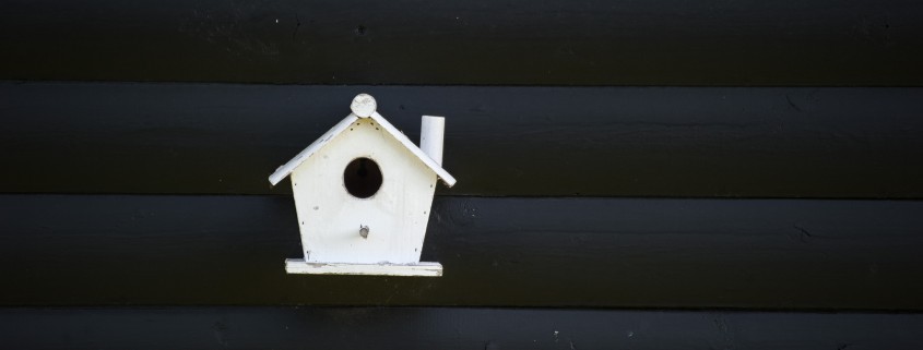 Vogelhäuschen vor schwarzer Wand