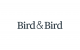 Bird & Bird Logo